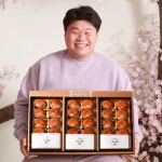 감/홍시/곶감 - 에누리 가격비교
