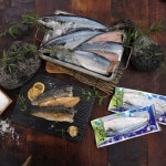 해담 제주 고등어 500g [3개] - 에누리 가격비교