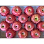 주왕산털보네 달콤한 사과선물세트 중 5kg [1개] - 에누리 가격비교