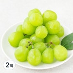 곰곰 알알이 샤인머스캣 [500g,2팩] - 에누리 가격비교