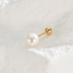 비앤비골드 14K 심플 베이직 진주 피어싱 5mm 한쪽 JAE40456 - 에누리 가격비교