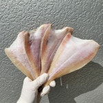 가자미 - 에누리 가격비교