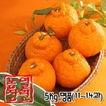 열린농장 한라봉 11-14과 5kg [1개] - 에누리 가격비교