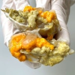 봉선장 서해안 알배기 급랭 암꽃게 1kg - 에누리 가격비교