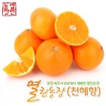 열린농장 천혜향 특품 17-22과 5kg - 에누리 가격비교