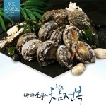 바다소풍 참전복 1kg 10~11미[1개] - 에누리 가격비교