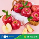 남거창농협 아삭아삭 달콤 사과 5kg 중과 21-23과 내외 - 에누리 가격비교