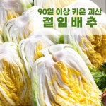 천상지애 90일키운 괴산 절임배추 7~9포기 20kg [1개] - 에누리 가격비교