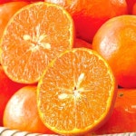 과일 - 에누리 가격비교