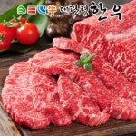 평창영월정선축협 대관령한우 1++등급 채끝 500g[1개] - 에누리 가격비교