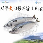 이제주섬영어조합법인 이제주섬 제주섬 맛있는 제주秋 자반고등어 1.6kg [1개] - 에누리 가격비교