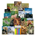 그린키즈 알기쉬운 자연관찰 [세트(20권)] - 에누리 가격비교