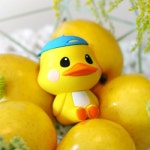 미킵 님프런 향기요정 디퓨져-오리링 - 에누리 가격비교