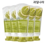 과일나라 세안이야기 녹두 딥 클렌징 폼 120ml [5개] - 에누리 가격비교