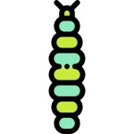 Caterpillar - Free animals icons Caterpillar free vector icons designed by Freepik