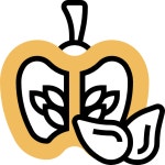 Pumpkin - Free food icons Pumpkin free vector icons designed by Eucalyp