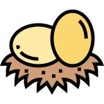 Free icon download | Eggs  Eggs free vector icons designed by Eucalyp