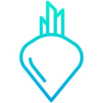 Beet - Free food icons Beet free vector icons designed by Kiranshastry