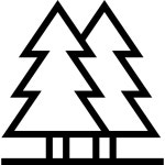 Pines - Free nature icons Pines free vector icons designed by Freepik