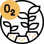 Photosynthesis - Free nature icons Photosynthesis free vector icons designed by Eucalyp