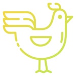 Chicken - Free animals icons Chicken free vector icons designed by Good Ware