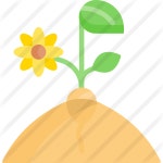 Sprout - Free nature icons Sprout free vector icons designed by Freepik