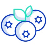 Blueberry - Free farming and gardening icons Blueberry free vector icons designed by Icongeek26