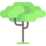 Tree - Free nature icons Tree free vector icons designed by Freepik