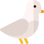 Pigeon - Free animals icons Pigeon free vector icons designed by Freepik