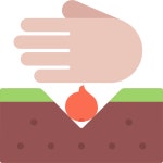 Seed - Free nature icons Seed free vector icons designed by Nikita Golubev