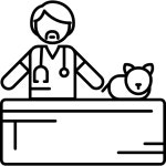 Vet with Cat - Free people icons Vet with Cat free vector icons designed by Freepik
