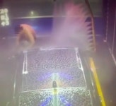 자동 세차장 내부서 차와 함께 스노우폼 샤워한 남자 - 헉스 자동 세차장 내부서 차와 함께 스노우폼 샤워한 남자