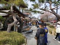 벌써 부채질까지...전주 한옥마을에서 무슨 일이? - 헉스 벌써 부채질까지...전주 한옥마을에서 무슨 일이?