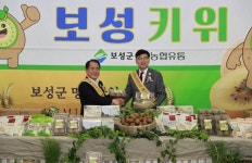 블라인드 | 보성 뉴스