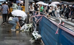 보행신호 | 헉스  보행신호 | 헉스 