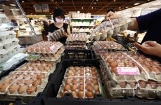 이마트 | 헉스  이마트 | 헉스 