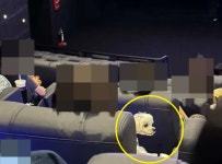 강아지 | 헉스  강아지 | 헉스 