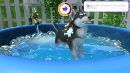 포모스 닌텐도 스위치용 리틀 프렌즈: 퍼피 아일랜드 29일 출시 닌텐도 스위치용 리틀 프렌즈: 퍼피 아일랜드 29일 출시