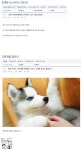 포모스 한국에서 포켓몬 go 부흥시키려는 자 vs 막으려는 자 한국에서 포켓몬 go 부흥시키려는 자 vs 막으려는 자