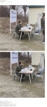 포모스 요즘 개꿀빨고 있는 점중이 근황 요즘 개꿀빨고 있는 점중이 근황