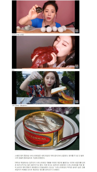 포모스 여자 먹방 유튜버 비위 원탑.jpg 여자 먹방 유튜버 비위 원탑.jpg