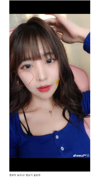 포모스 콩순이 유혜디 맞는거 같은 증거 콩순이 유혜디 맞는거 같은 증거