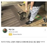 포모스 올바른 동물 유튜버.jpg 올바른 동물 유튜버.jpg 
