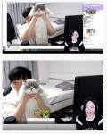 포모스 김성대가 키우는 고양이 진짜 귀엽네요 김성대가 키우는 고양이 진짜 귀엽네요