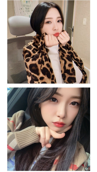 포모스 솔직히 딱 얘가 현실 7의 여자 정석 이라고 봄  솔직히 딱 얘가 현실 7의 여자 정석 이라고 봄