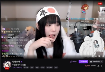 포모스 네이버 치지직 욱일기 논란 네이버 치지직 욱일기 논란