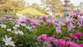 포모스 문화재 주변 마을의 14년에 걸친 변신 문화재 주변 마을의 14년에 걸친 변신