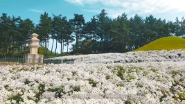 포모스 문화재 주변 마을의 14년에 걸친 변신 문화재 주변 마을의 14년에 걸친 변신