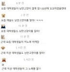 포모스 요즘 대학생들이 낭만고양이를 아는 이유 요즘 대학생들이 낭만고양이를 아는 이유