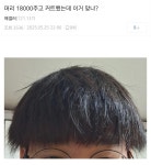 포모스 싱글벙글 디시 헤어 갤러리 최신 버전 싱글벙글 디시 헤어 갤러리 최신 버전